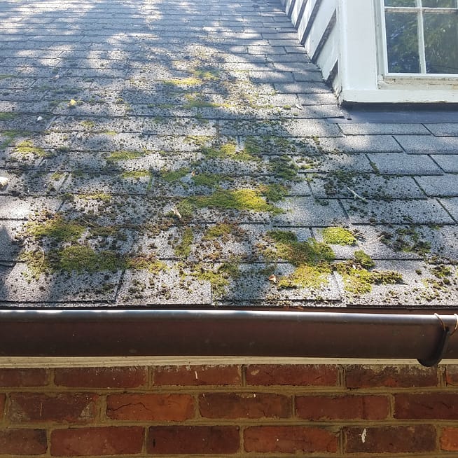 A roof with a collection of moss that needs to be removed.